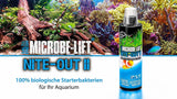Microbe-Lift Nite-Out 2 for Freshwater and Saltwater