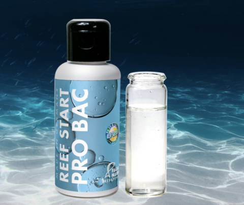 Reef Start Pro Bac 60ml