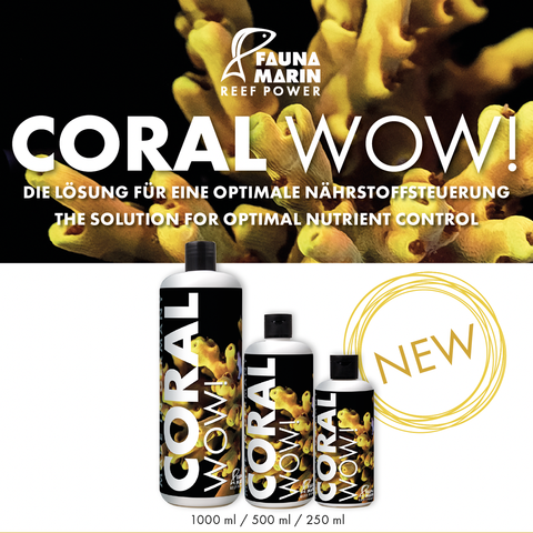 Fauna Marin Coral Wow!