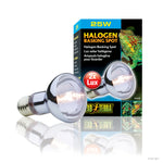Exo Terra Halogen Basking Spot bulb 75w