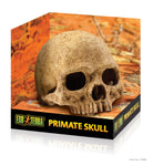 Exo Terra Human Skull ornament for terrarium
