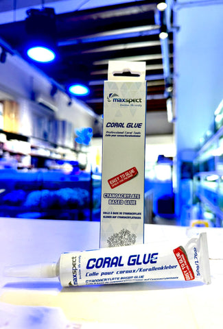 Maxspect Coral Glue - Cyanoacrylate - 50g