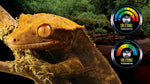 Exo Terra Hygrometer Monitoring - Analogue