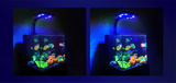 Maxspect Jump MJ LED Light NEW - L260