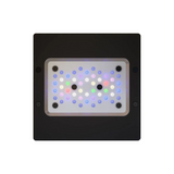 Radion XR15 Blue/Pro Gen 6