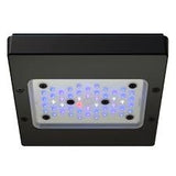 Radion XR15 Blue/Pro Gen 6