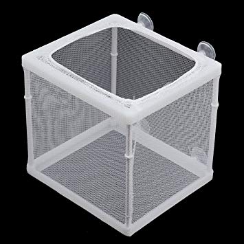 Breeder Isolation box for freshwater and saltwater aquarium
