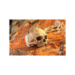 Exo Terra Human Skull ornament for terrarium