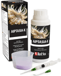 Aiptasia X