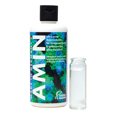 Fauna Marin Amin